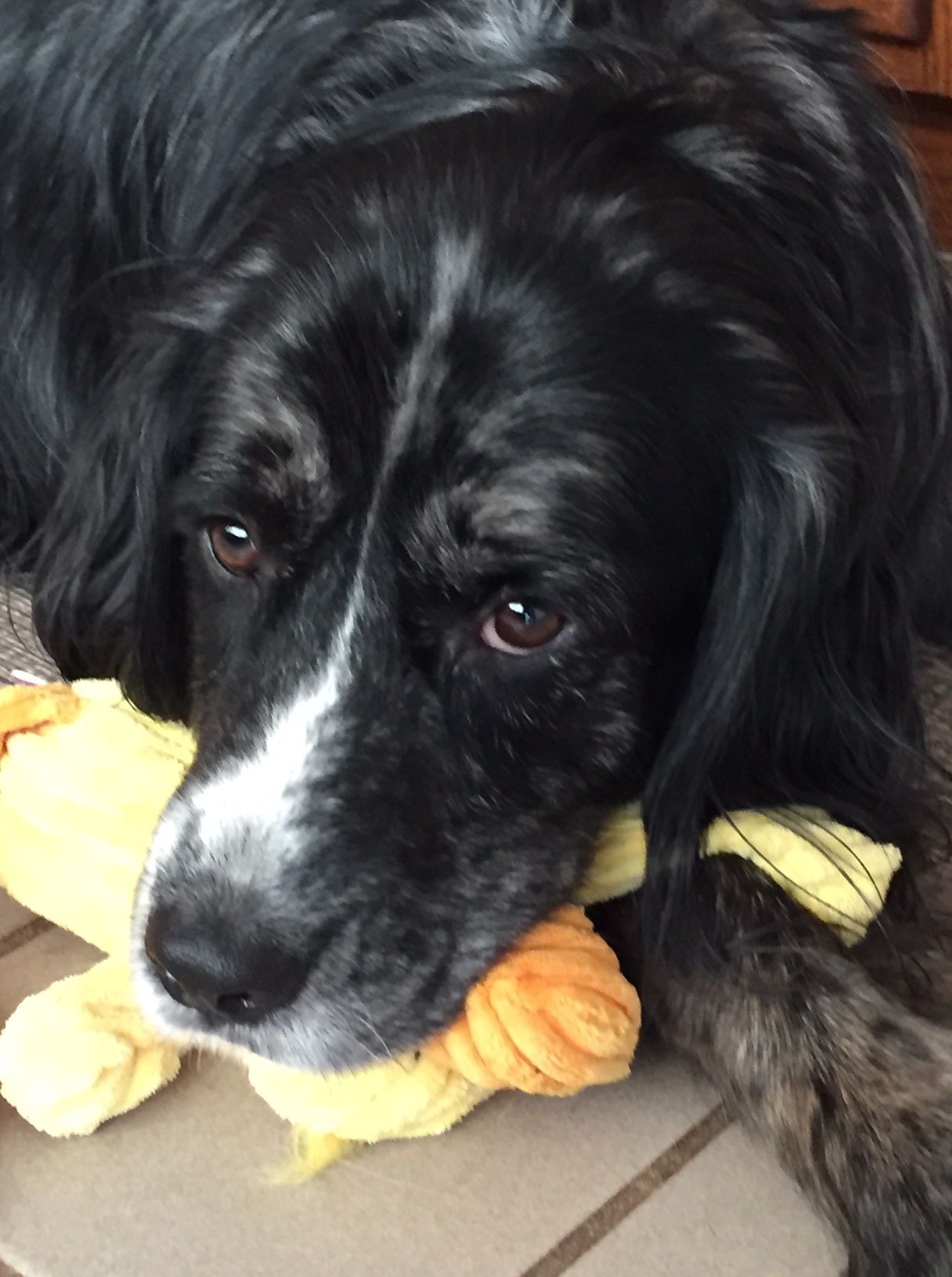 Duncan Easter 2 2017